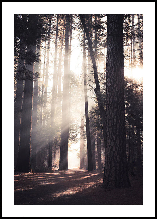 Yosemite Valley Poster - Posterbox.dk