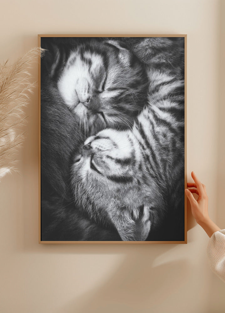 Yin- und Yang-Poster