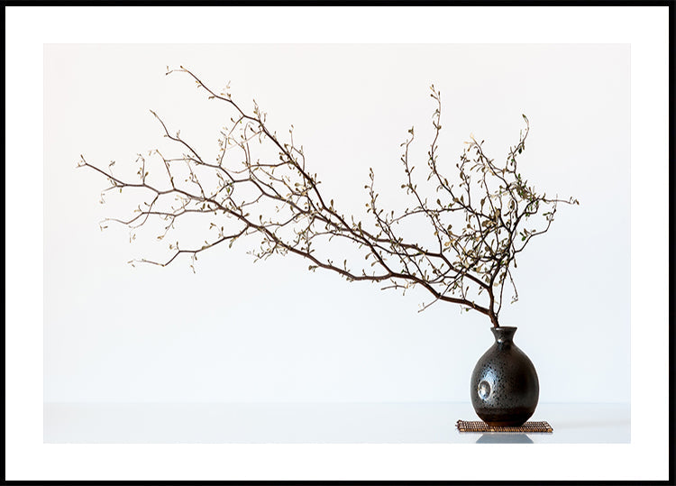 Vase And Branch - Posterbox