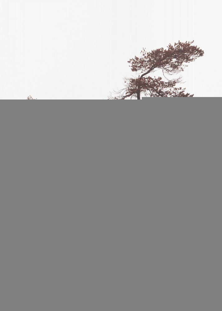 Skulpturales Kiefern-Poster