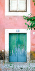 Little door in Lisbon Plakat - Posterbox