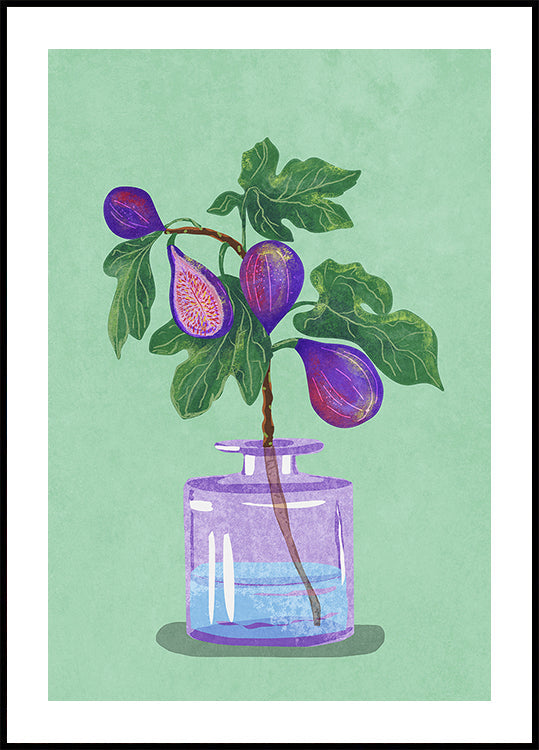 Figs Branch In Vase Plakat - Posterbox