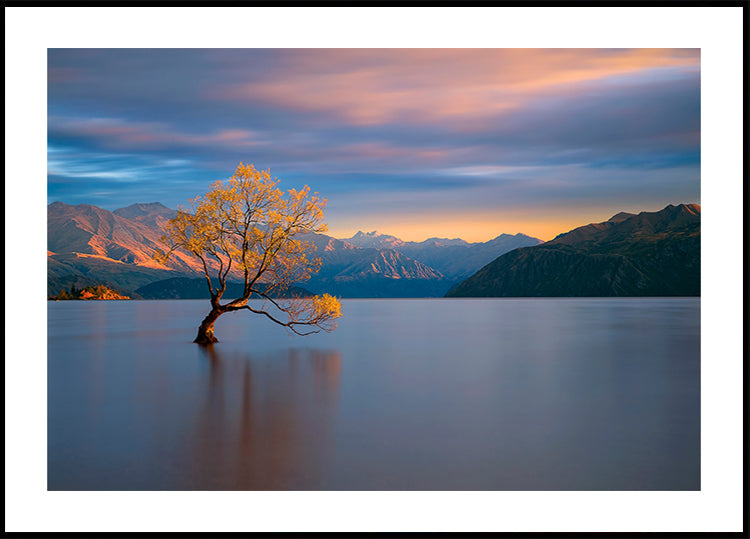 Morning Glow Plakat - Posterbox