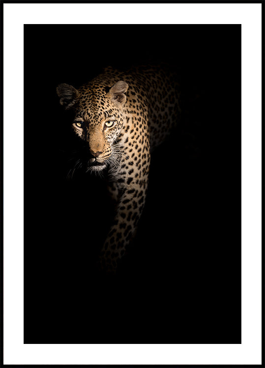 Out of the darkness - Posterbox