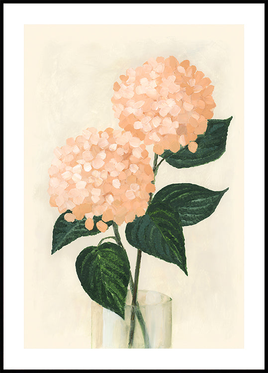 Coral hydrangeas in a vase - Posterbox