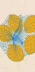 Five Lemons In a Net Bag  Plakat - Posterbox