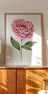 01 Peonie Salomebiermanillustration (NEW) - Posterbox