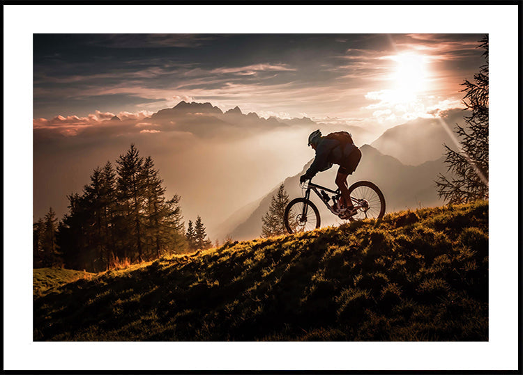 Golden hour biking Plakat - Posterbox