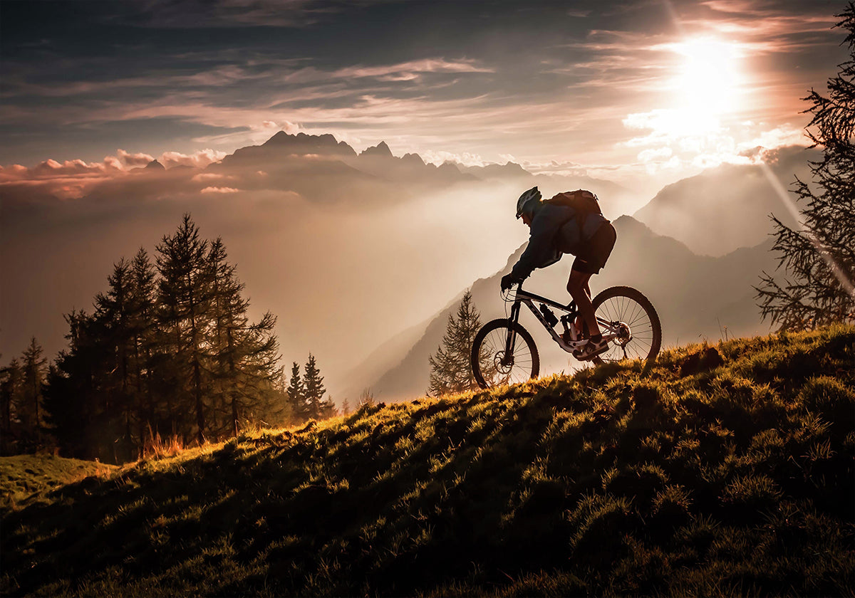 Golden hour biking Plakat - Posterbox
