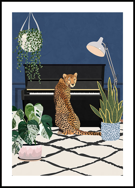 Cheetah playing piano Plakat - Posterbox
