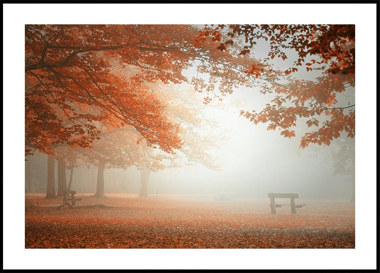 The wonders of nature Plakat - Posterbox
