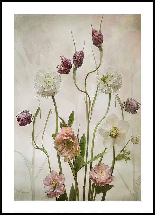 Spring Garden - Posterbox