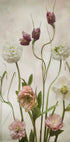 Spring Garden - Posterbox