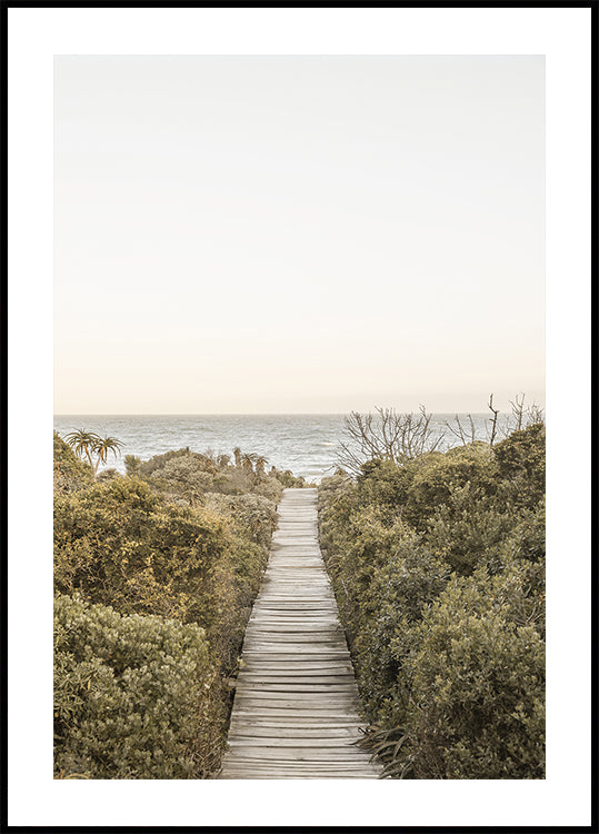 Pathway to Tranquility - Posterbox