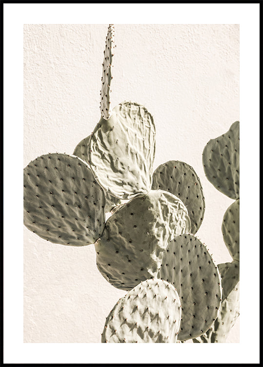 Prickly Elegance - Posterbox