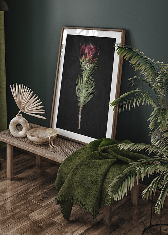 Protea Serenity Plakat - Posterbox