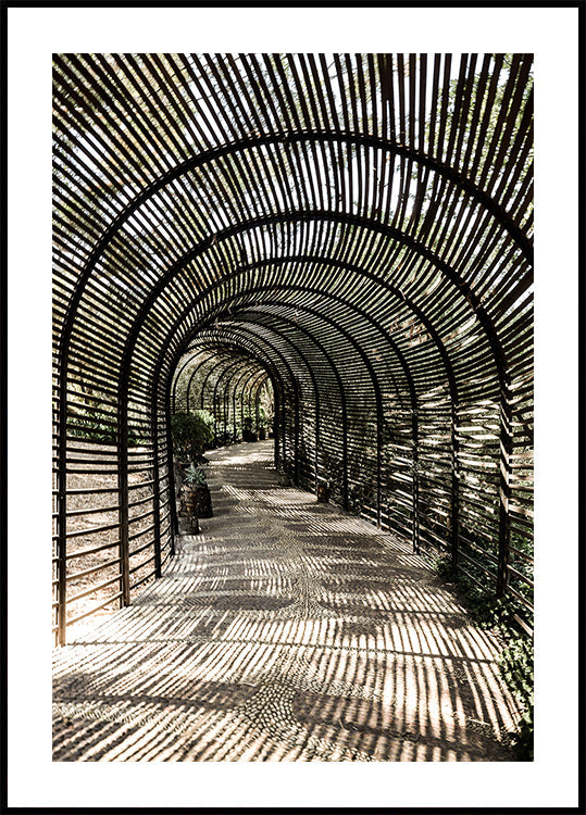 Shadow Garden Plakat - Posterbox
