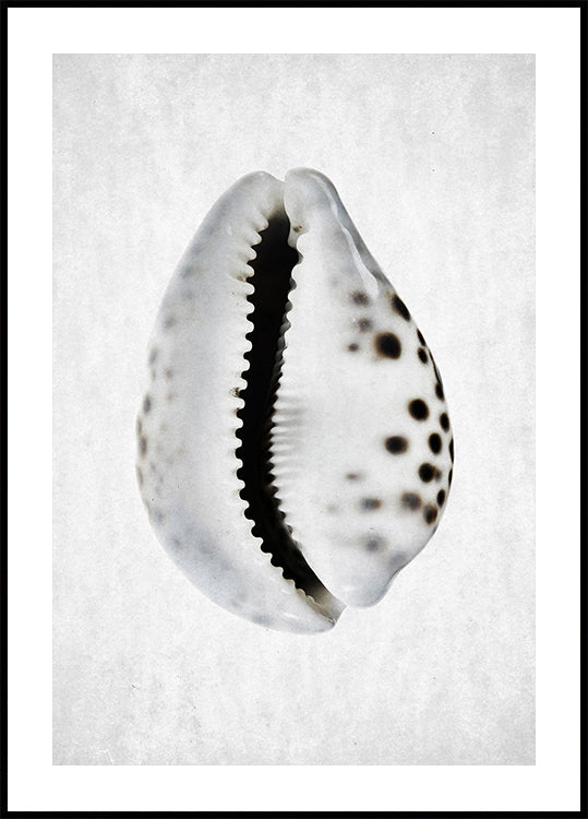 Spring Tide - Posterbox