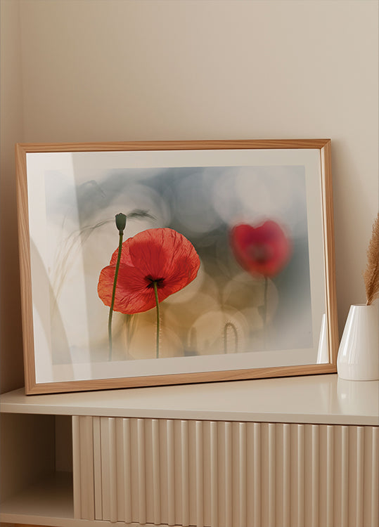 Morning Poppies - Posterbox