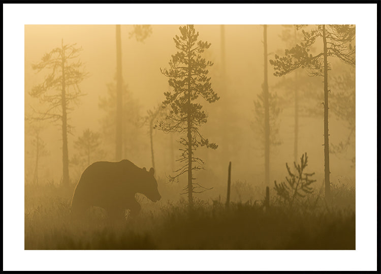 Morning Fog - Posterbox