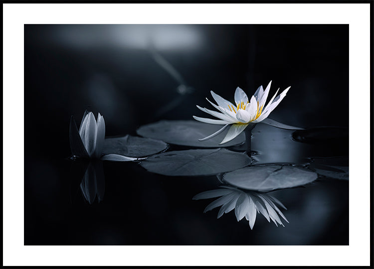 Reflection Plakat - Posterbox