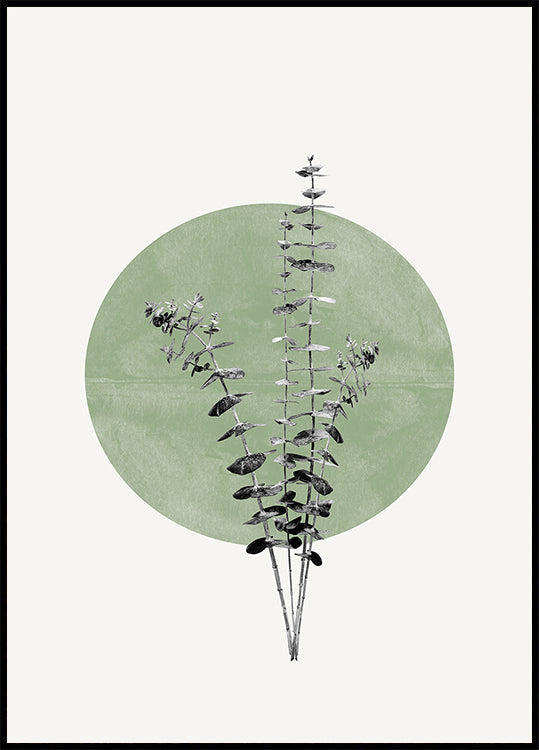 Nature's Echo Plakat - Posterbox