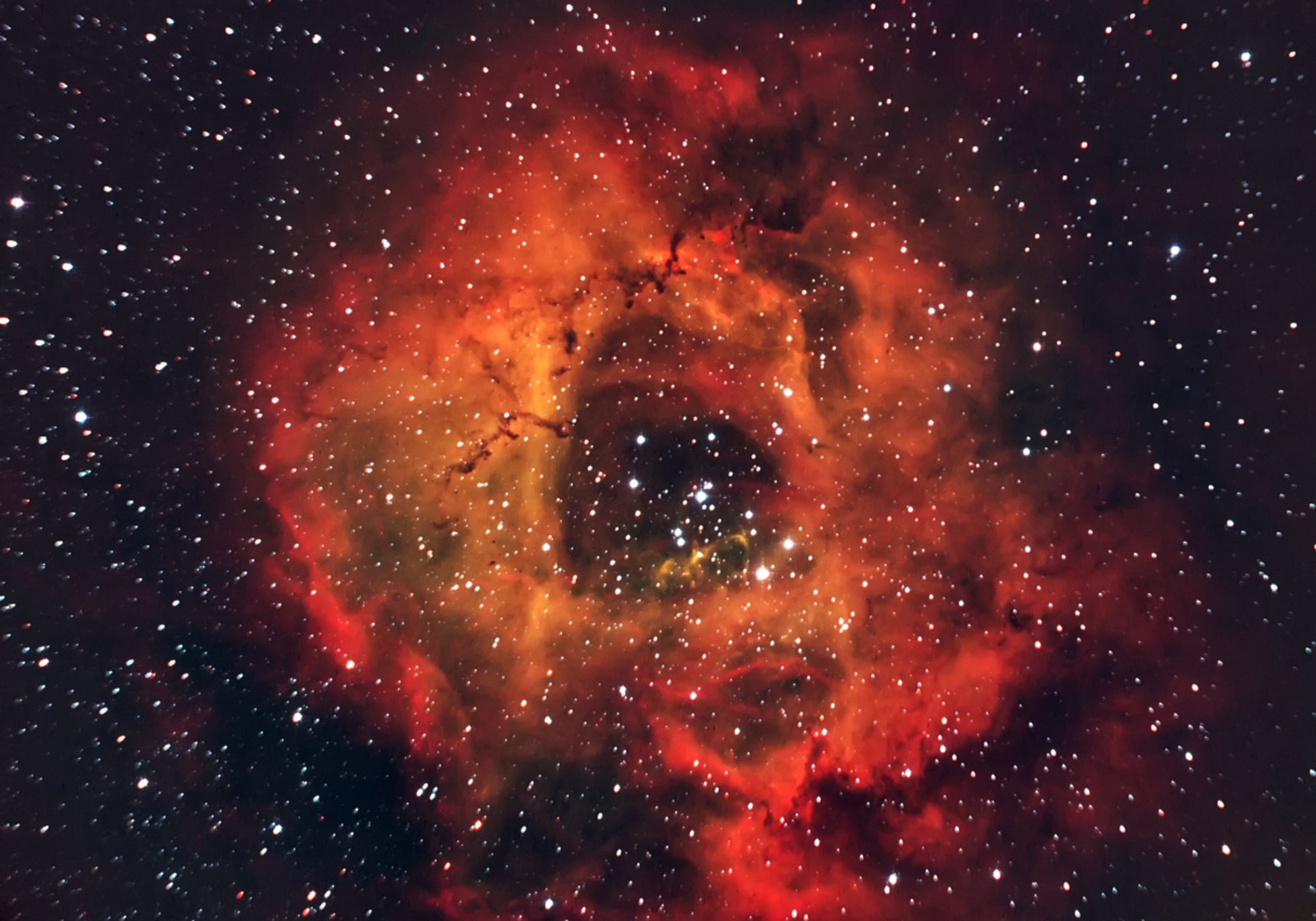 Kosmischer Rosennebel