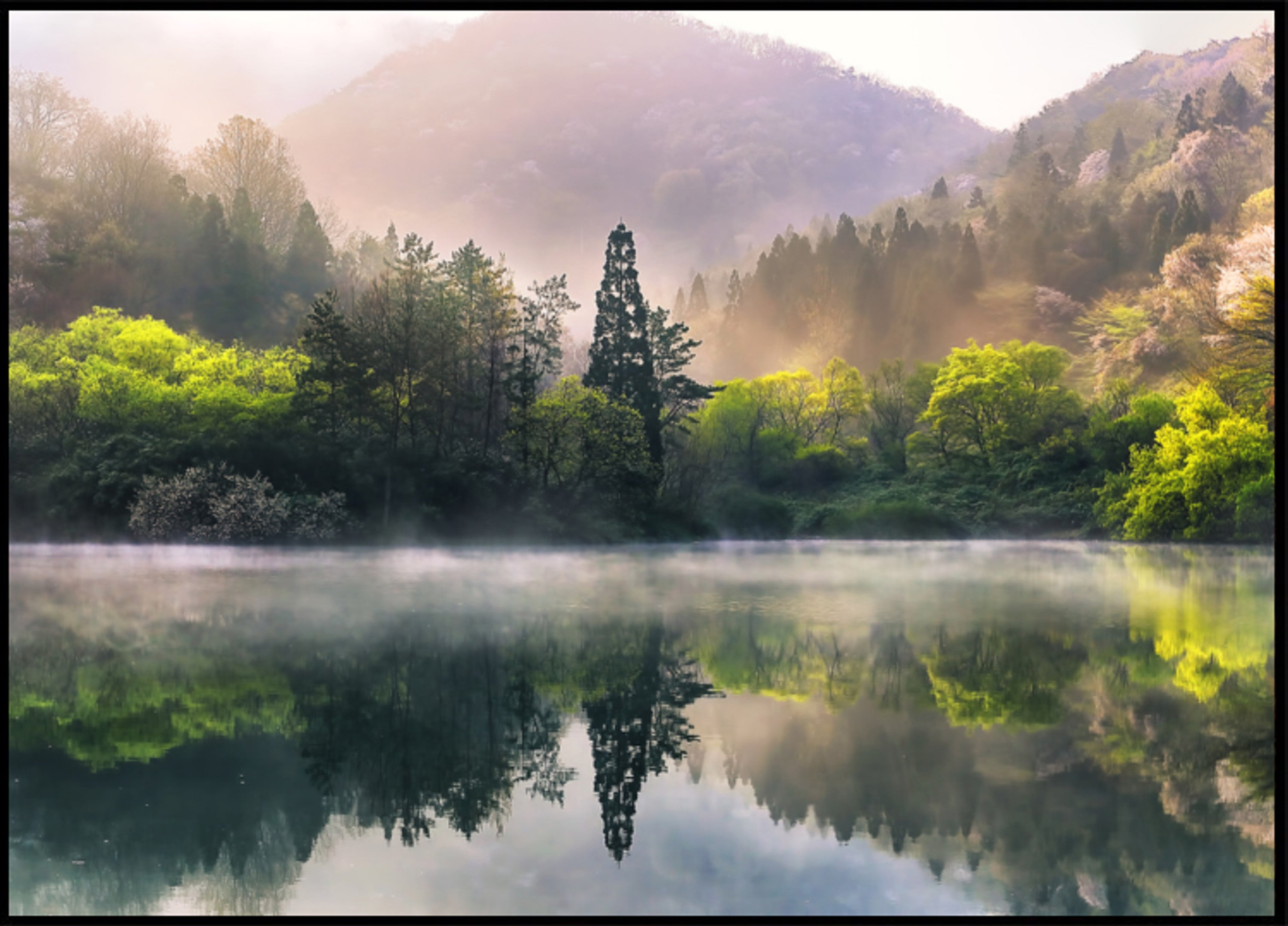 Neblige Spring Lake-Spiegelung