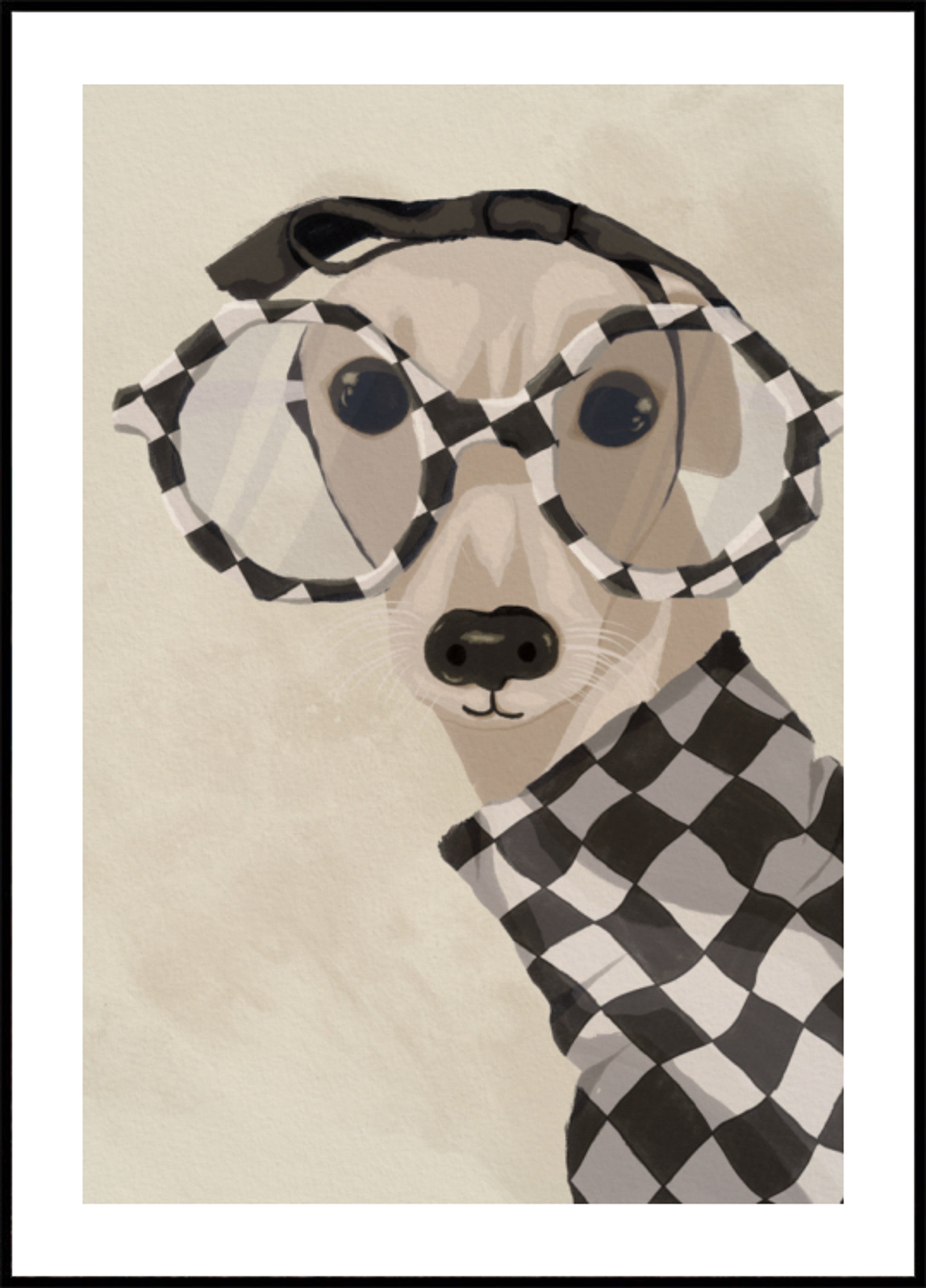 Schicker Windhund mit Brille