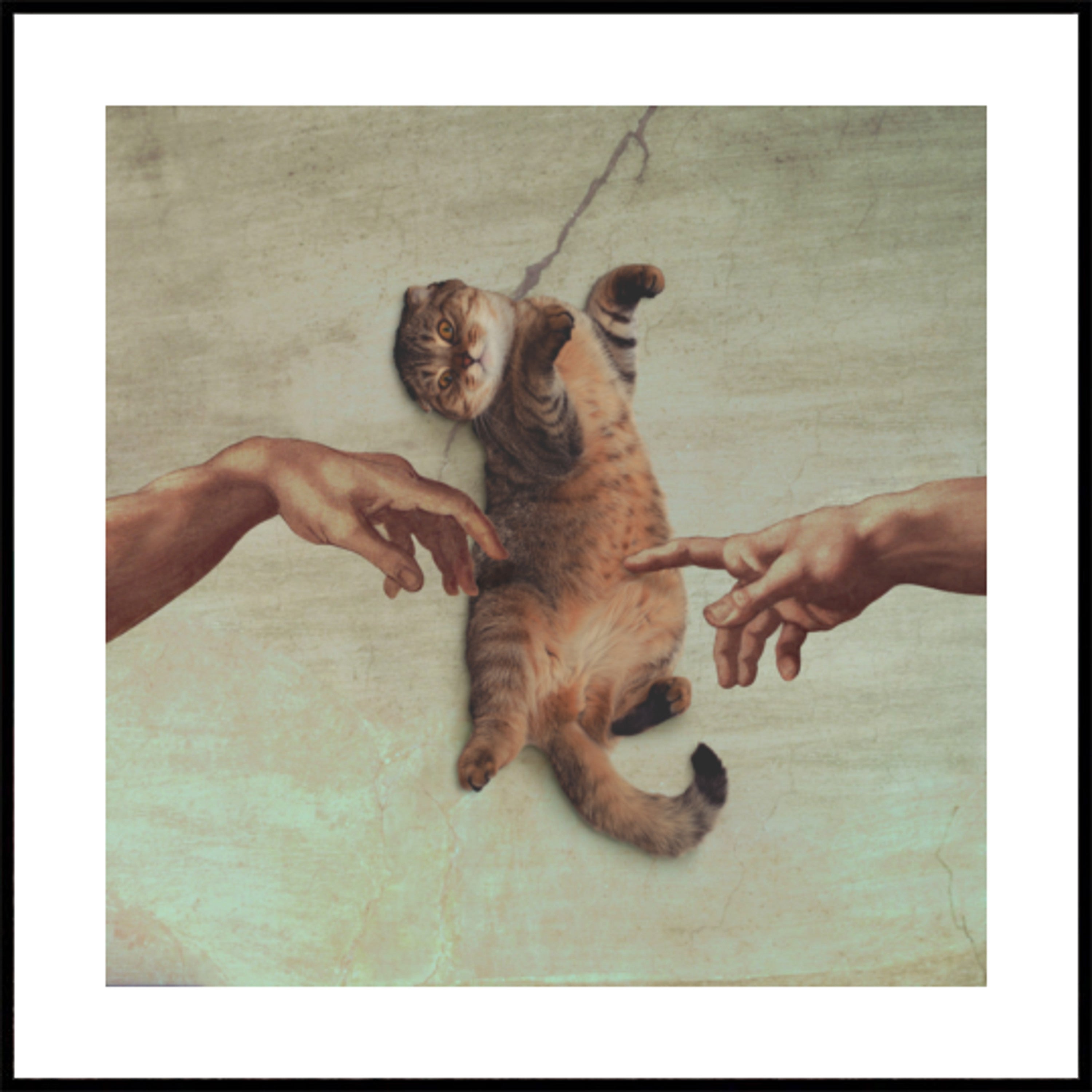 Die Erschaffung der Katze
