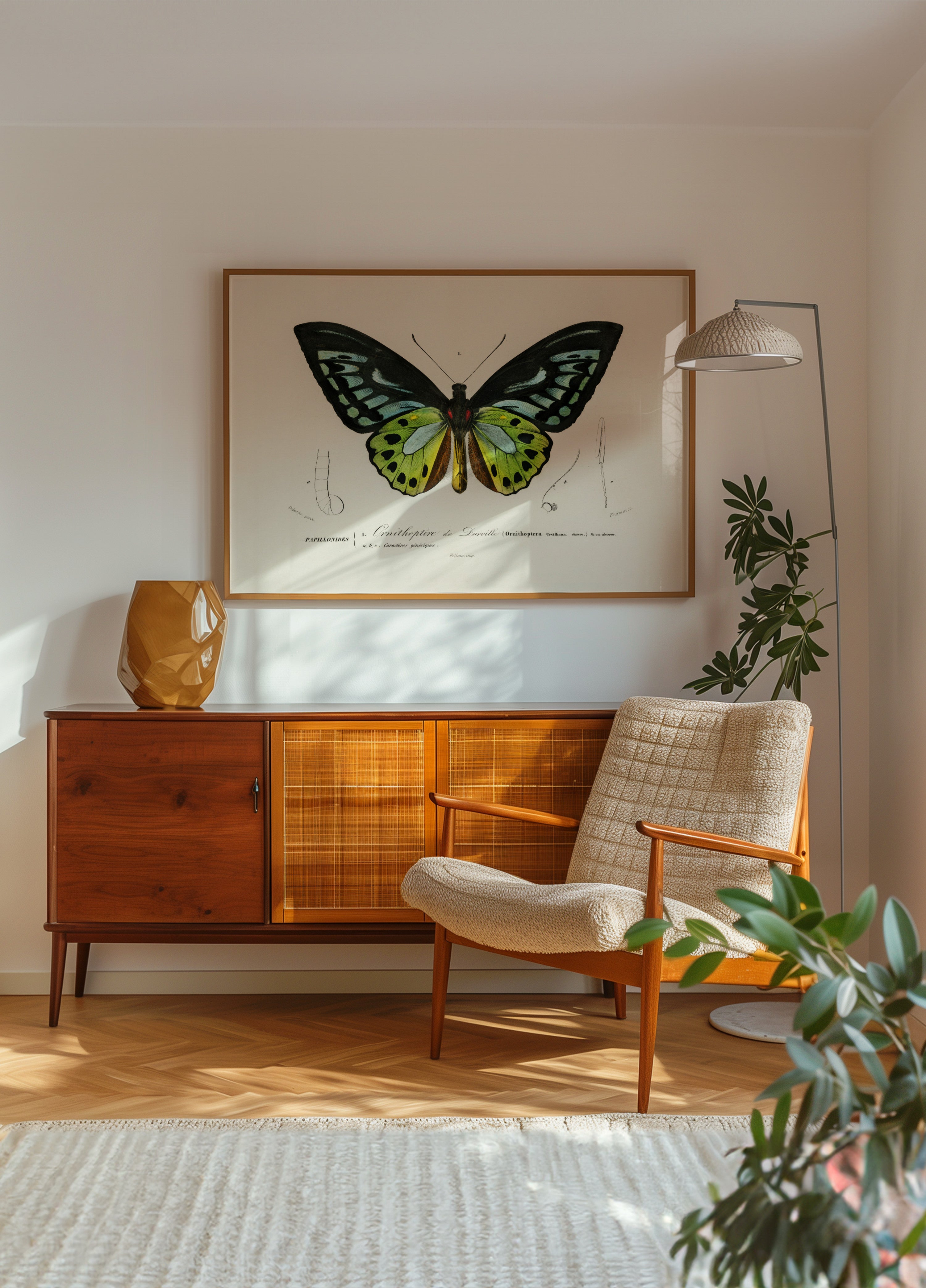 Grüner Birdwing-Schmetterling