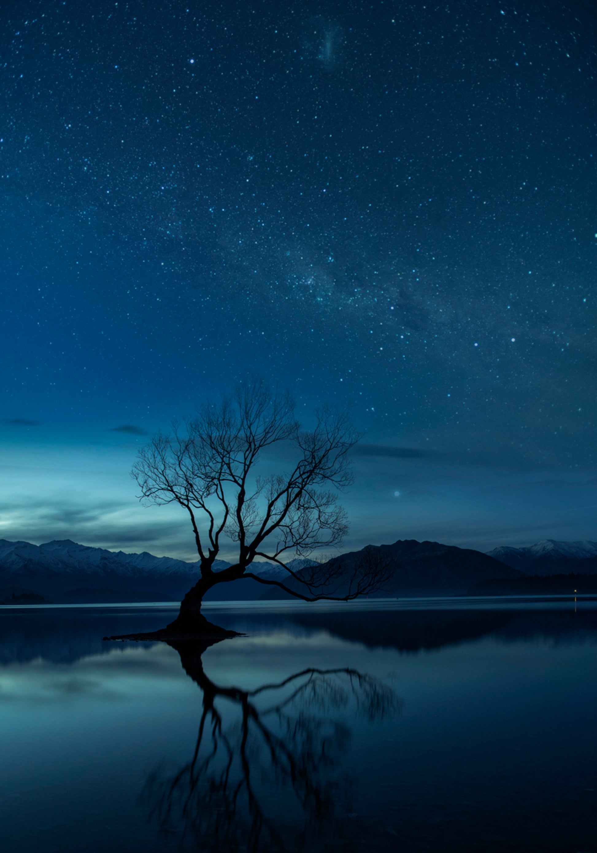 Einsamer Baum, sternenklare Nacht