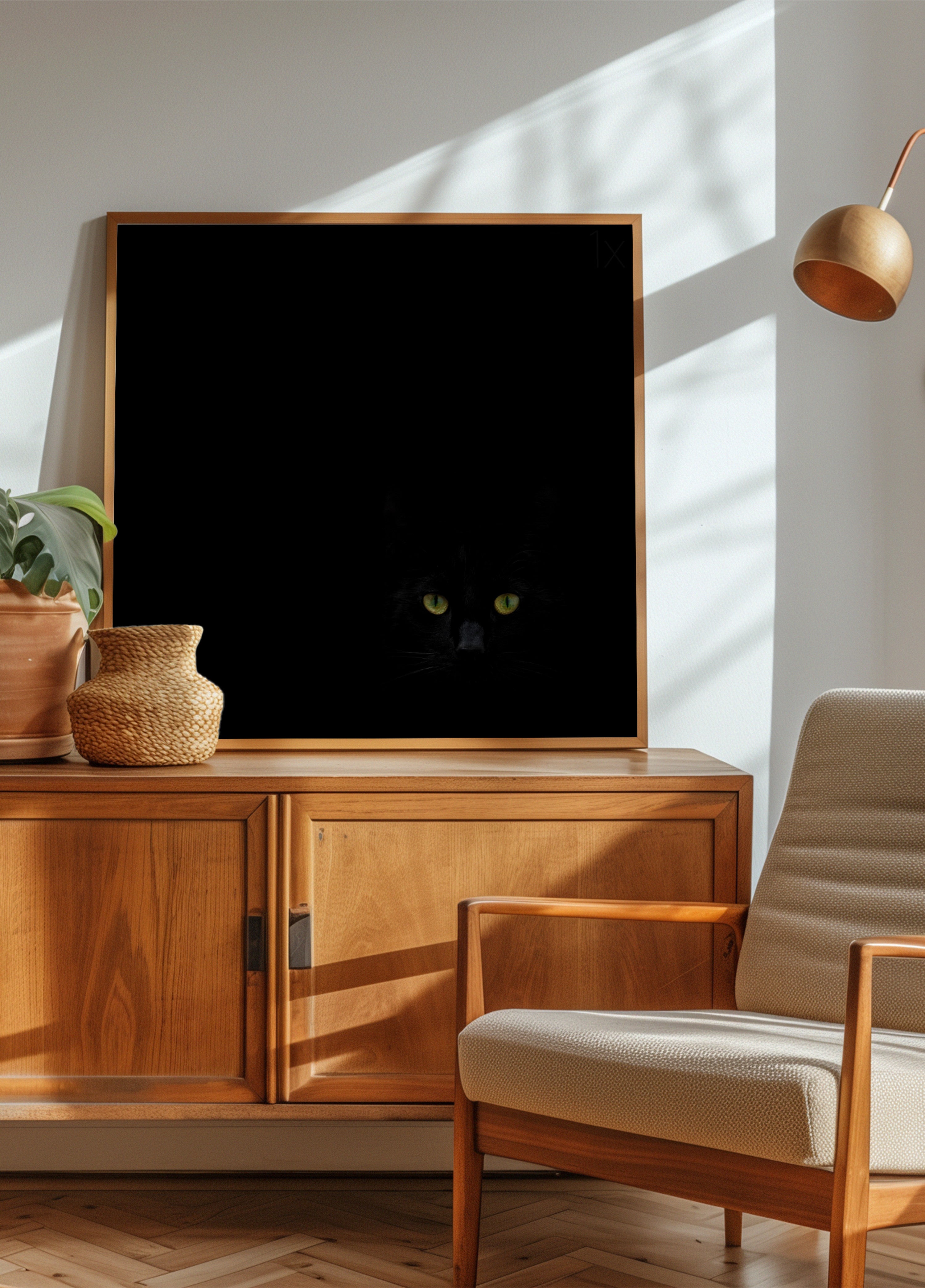 Der Blick der schwarzen Katze