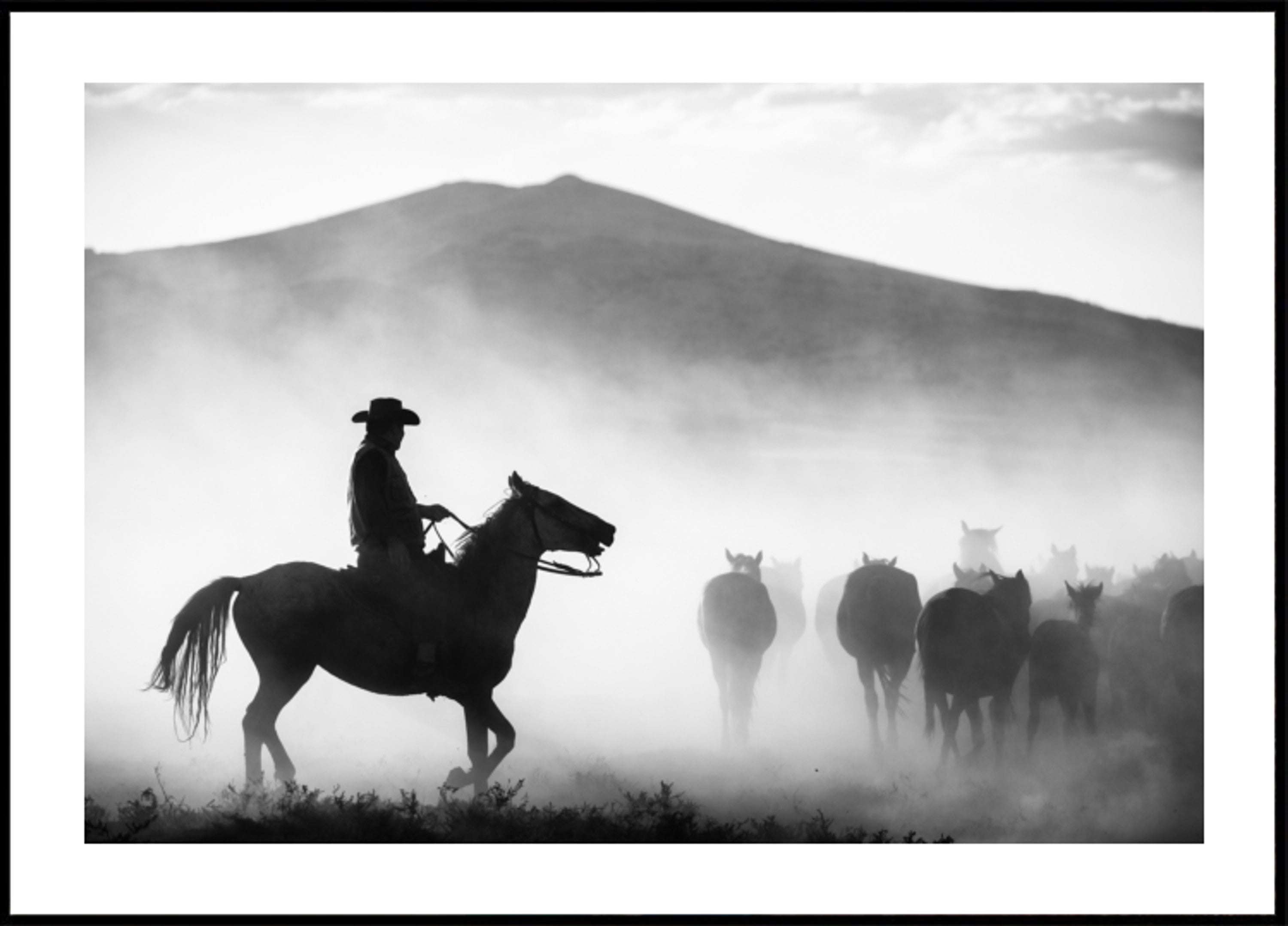 Cowboy, der Pferde hütet