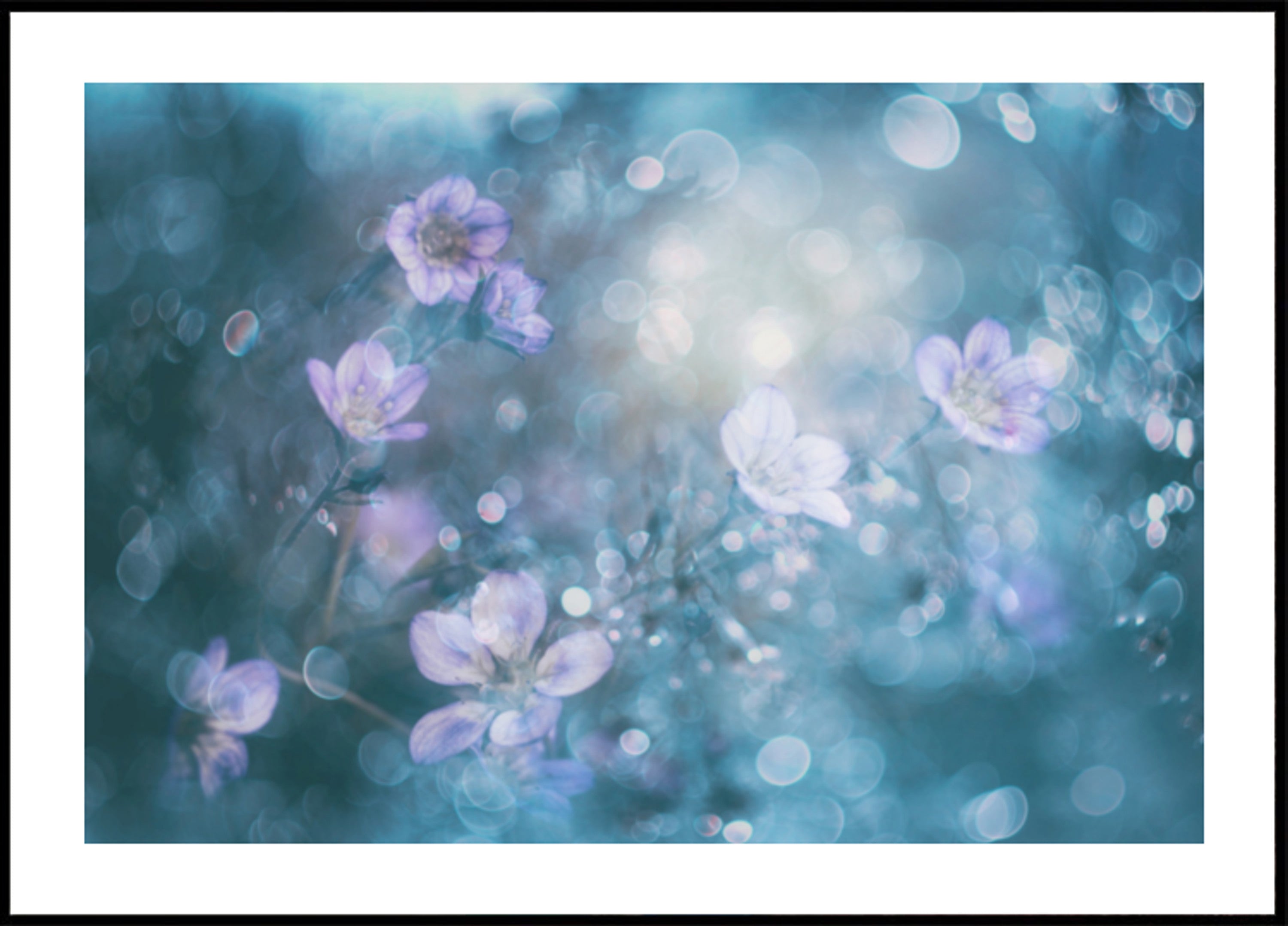 Verträumte Bokeh-Blumen