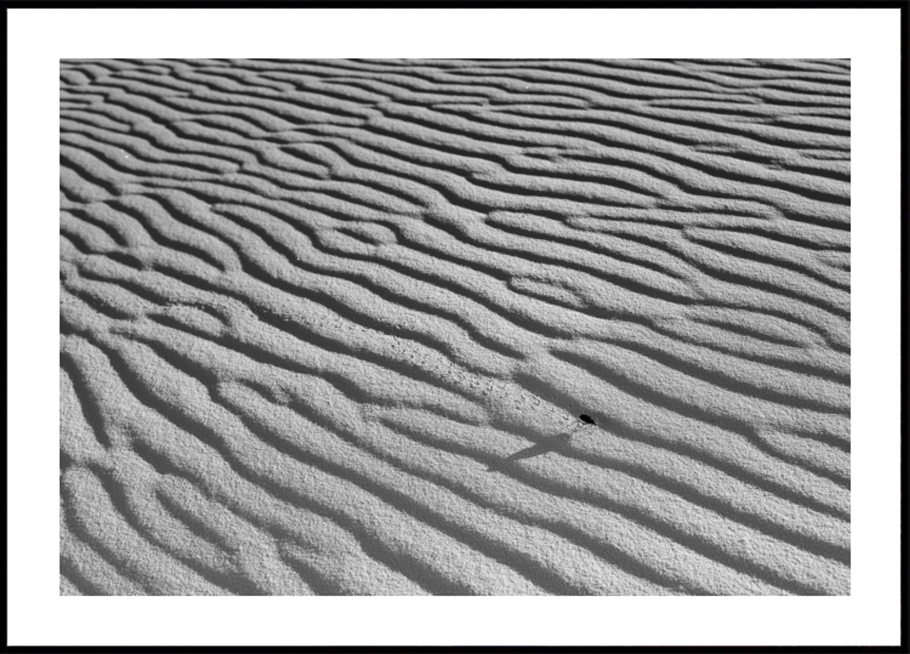 Welliger Sand und Insekten