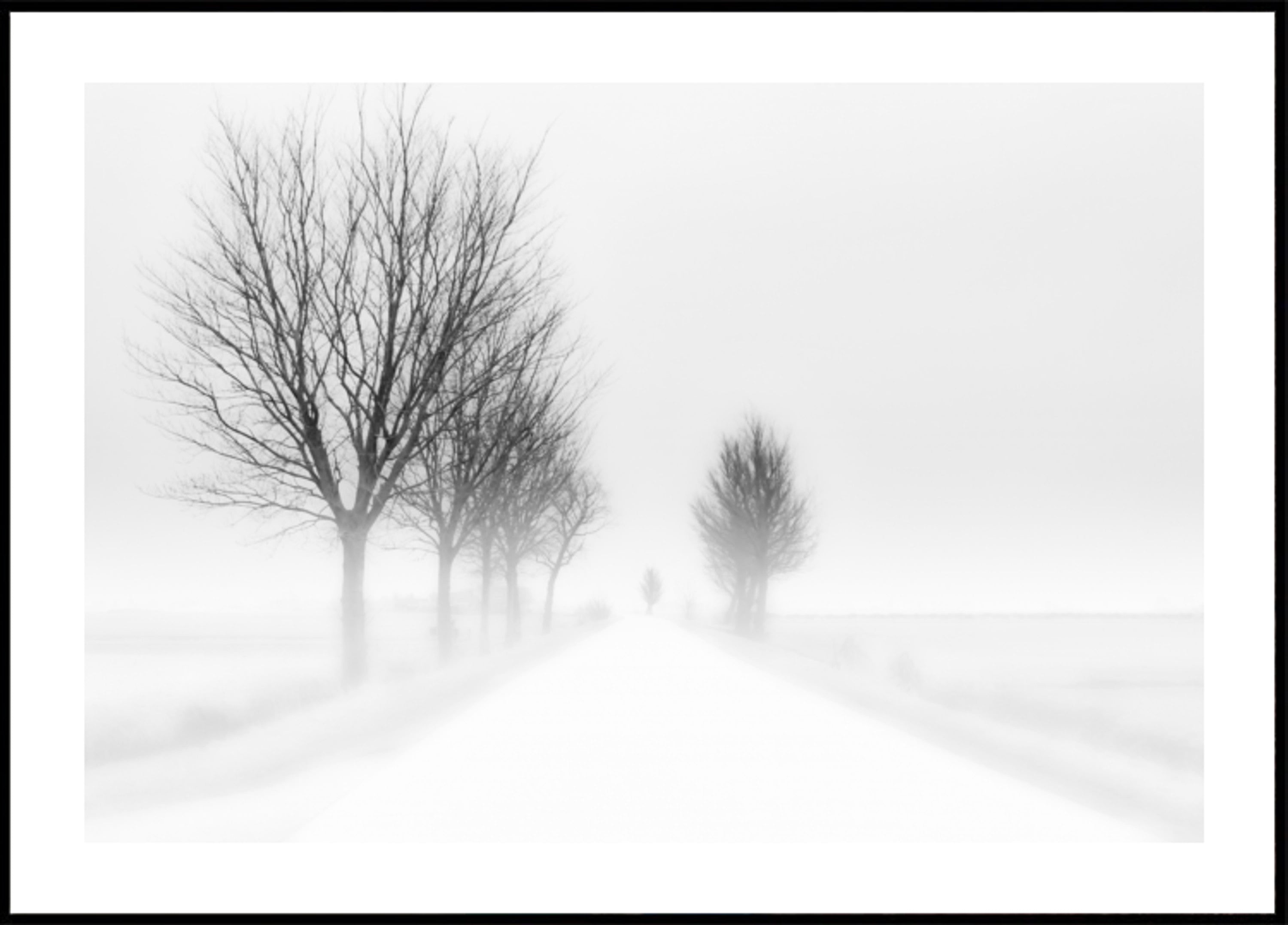 Neblige Winterstraße