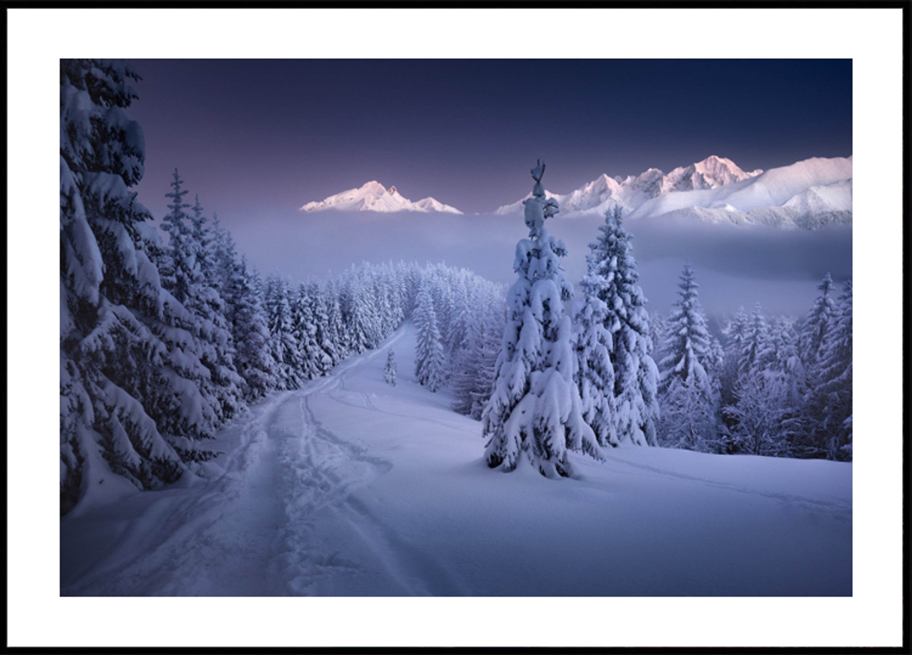 Winterwald-Bergpfad