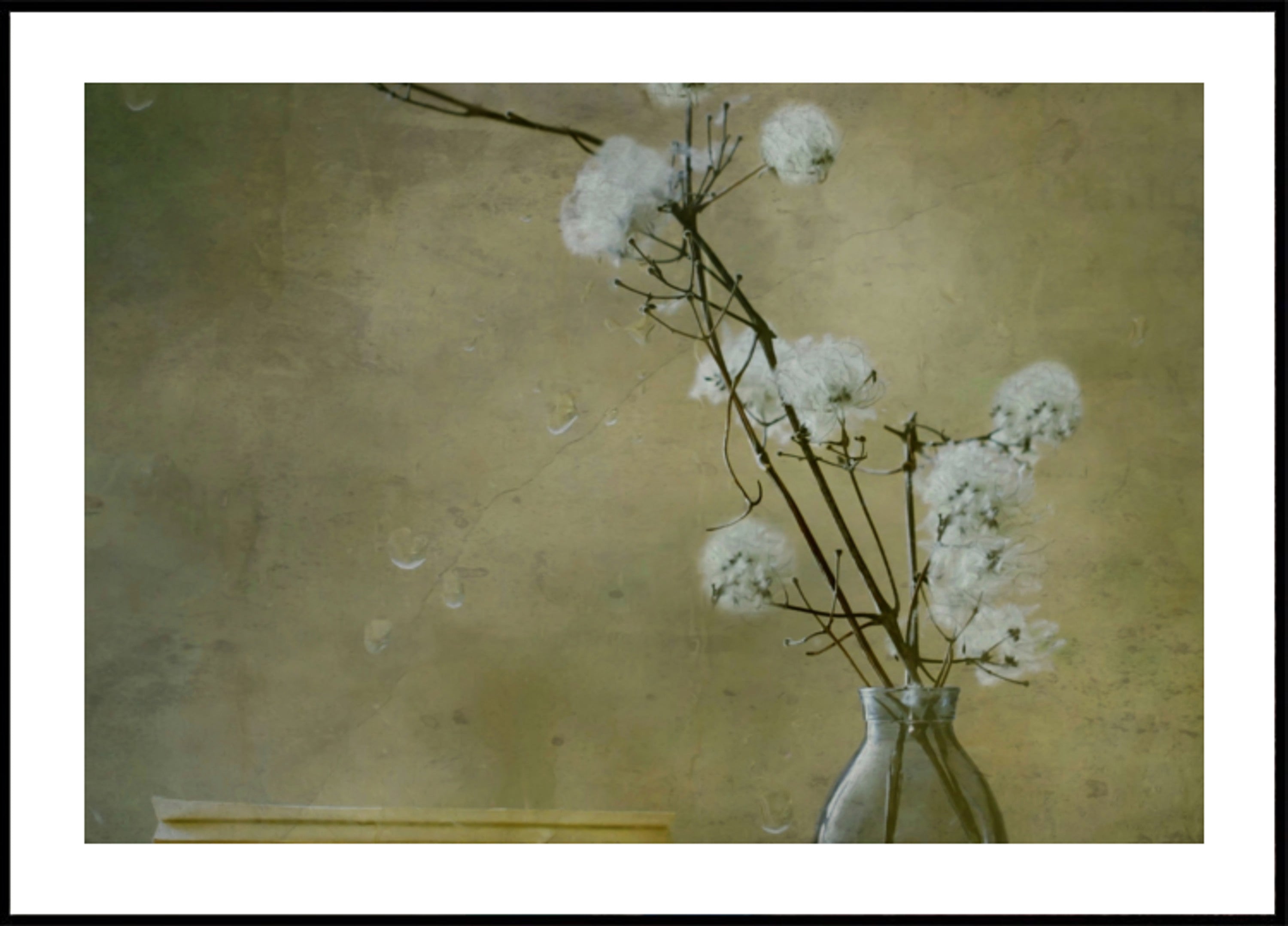 Ruhige, flauschige Blumen