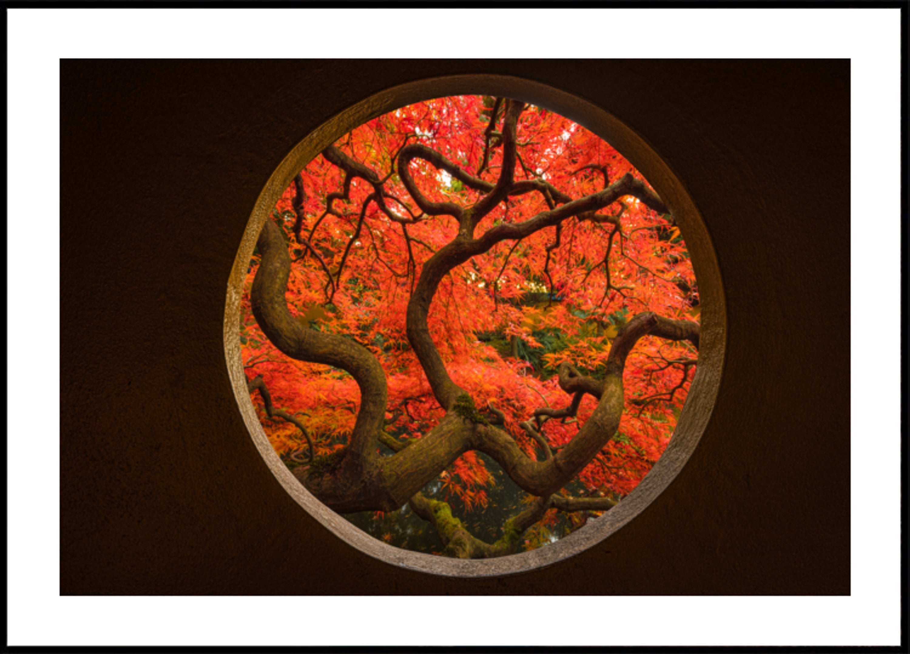 Herbstliches Ahornportal