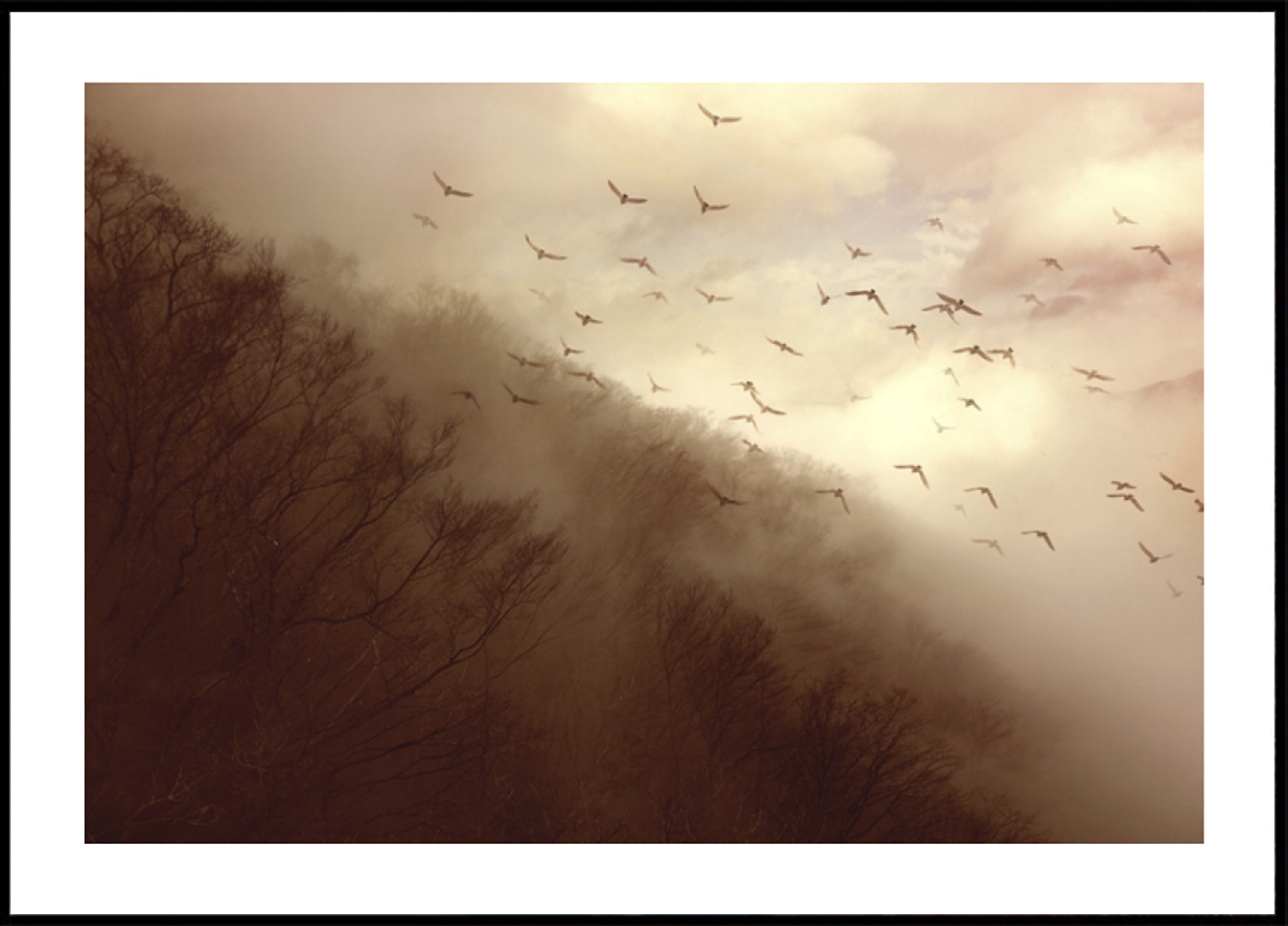 Vögel im goldenen Nebel