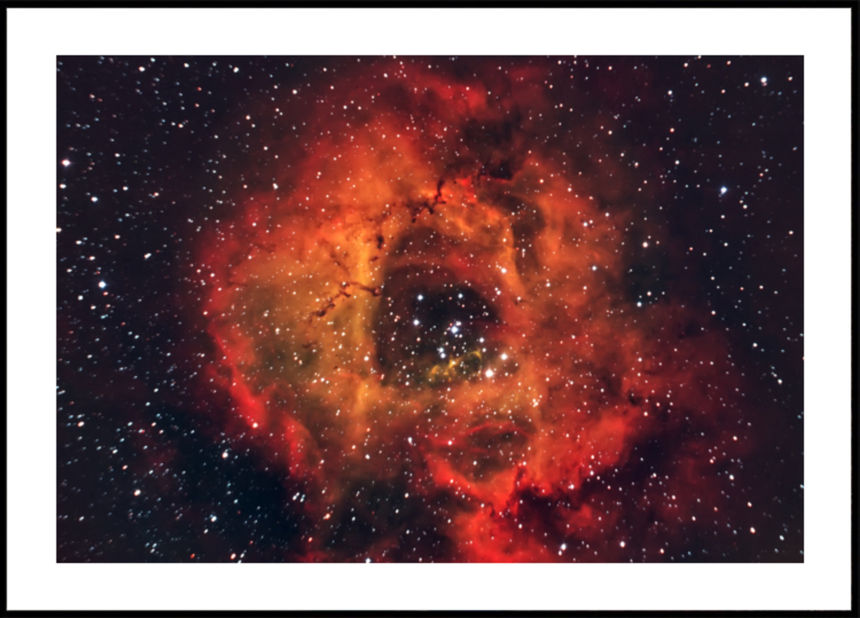 Kosmischer Rosennebel