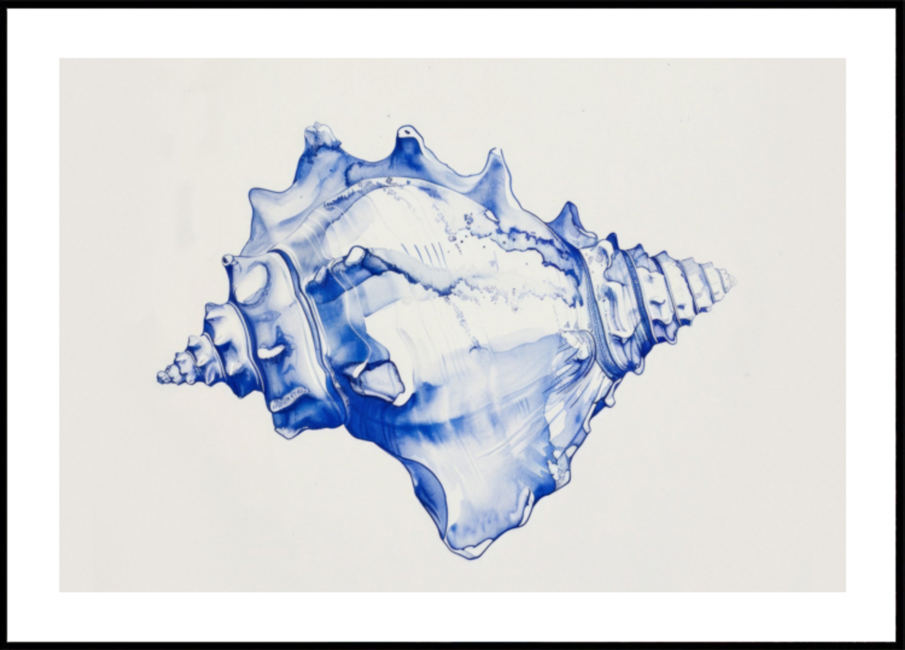 Blaue Muschelharmonie