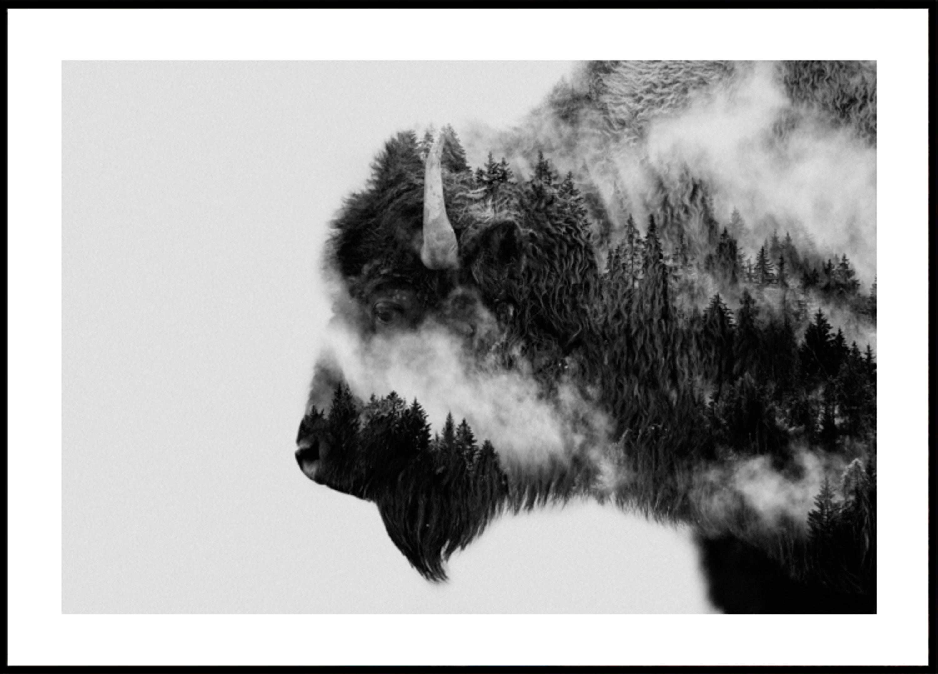 Waldbisongeist