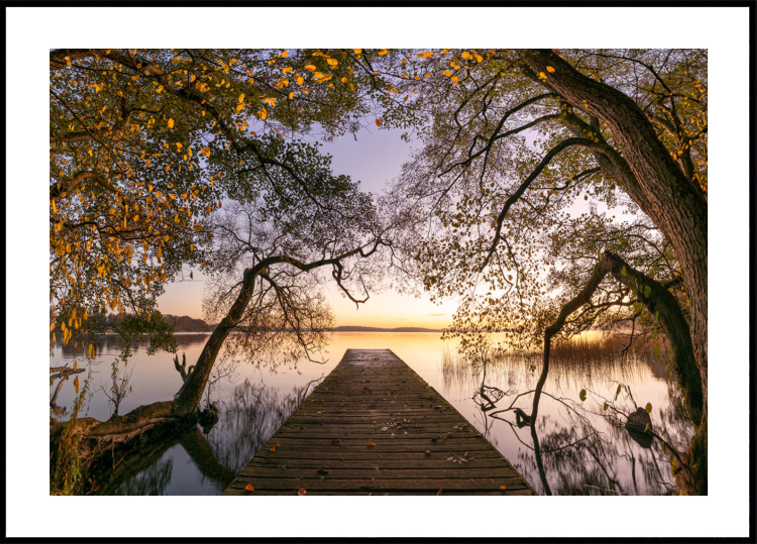 Goldener Herbstpier