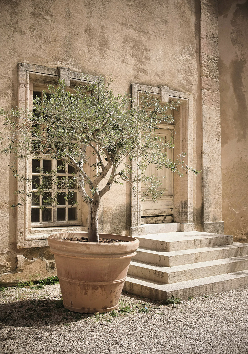 Baumposter - Posterbox.dk