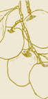 Applesno03 (NEW) - Posterbox