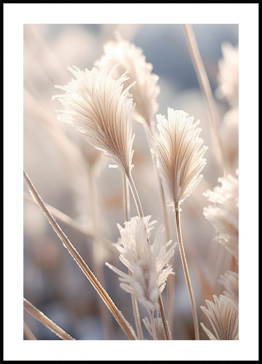 Frosted Elegance Plakat - Posterbox
