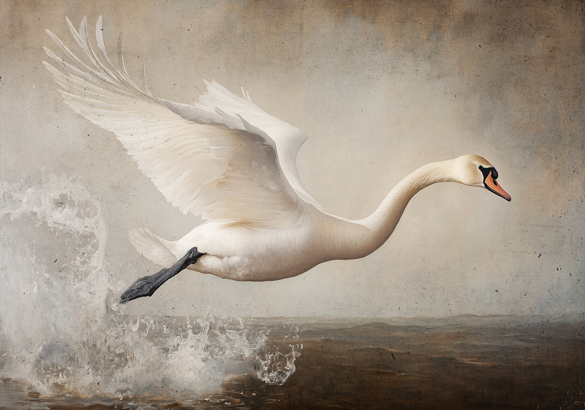 Graceful Flight - Posterbox