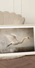Graceful Flight - Posterbox